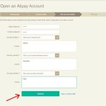 Registration Alipay 9